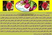 عرض تبریک روز معلم و استاد، محضر استادان ارجمند، همکاران گرامی و دانشجویان عزیز دانشکده